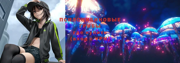прущие крисы Белокуриха