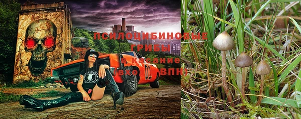 дурь Пролетарск